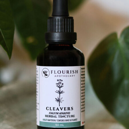 Cleavers Organic Herbal Tincture made by Flourish Apothecary of Victoria, BC