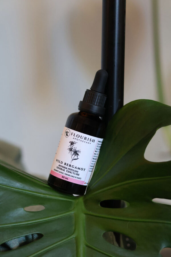 Wild Bergamot Herbal Tincture