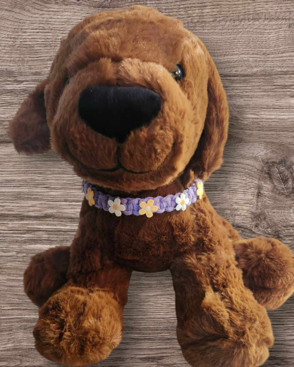 Pet Collar - Macrame - Purple with yellow and white applique flowers