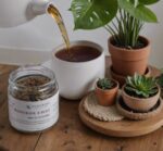 Rooibos Chai Tea