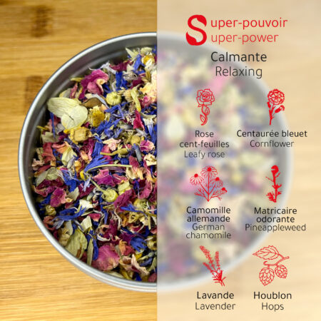 flowerpowerlogo