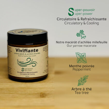 vivifiantelogo