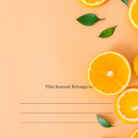 2025 Anxiety Journal