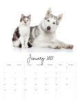 Pet Care Planner- Digital Download