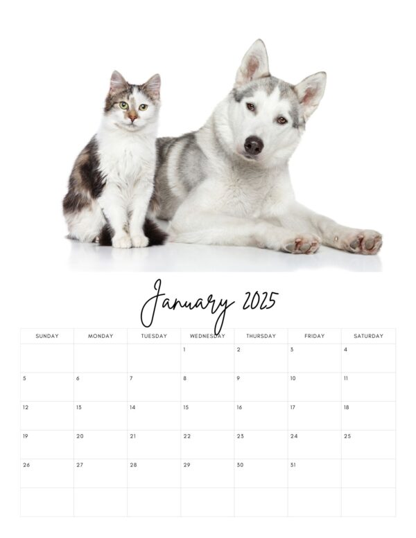 Pet Care Planner- Digital Download