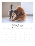 Pet Care Planner- Digital Download
