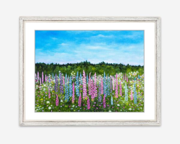 Field of Lupines Print