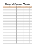 Baby Shower Planner- Digital download