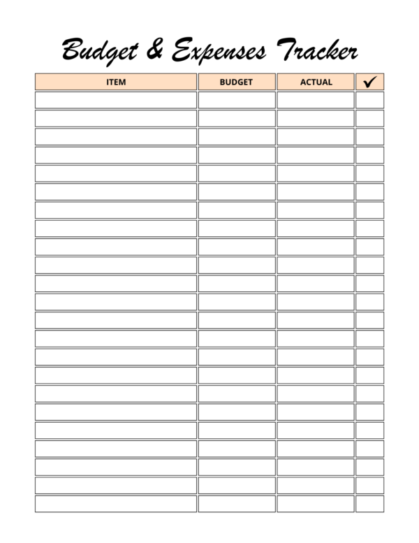 Baby Shower Planner- Digital download