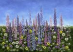 Field of Lupines Print