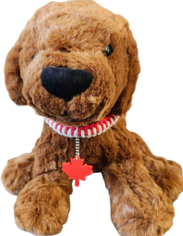 Pet Collar - Macrame - Cobra Pattern - Red and White - Go Canada