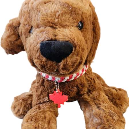 PetCollar14