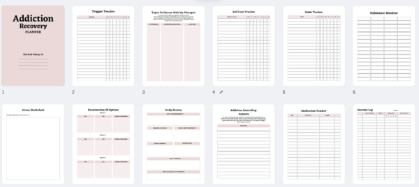 Addiction Recovery Planner- Digital Download