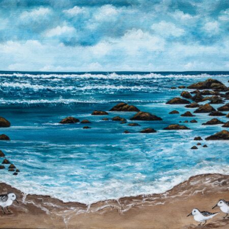 Stoney Island Beach, Cape Sable Island Print