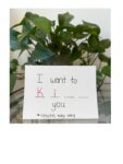 Valentine's Day Cards