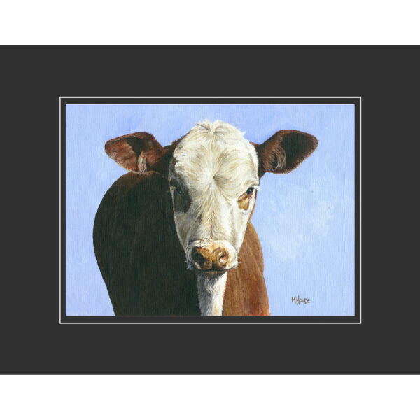 Artist Print - Curious Calf