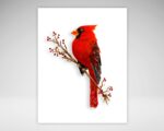 Cardinal Note Card