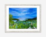 The Cabot Trail, Cape Breton Print