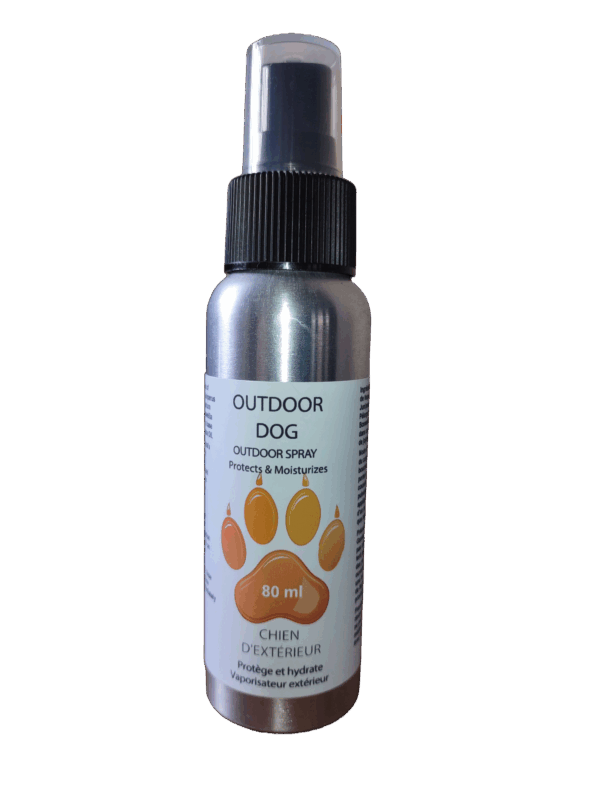 Outdoor Dog Spray & Soap set
