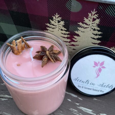 Cinnamon Jar Candle (by Scents in Fields)