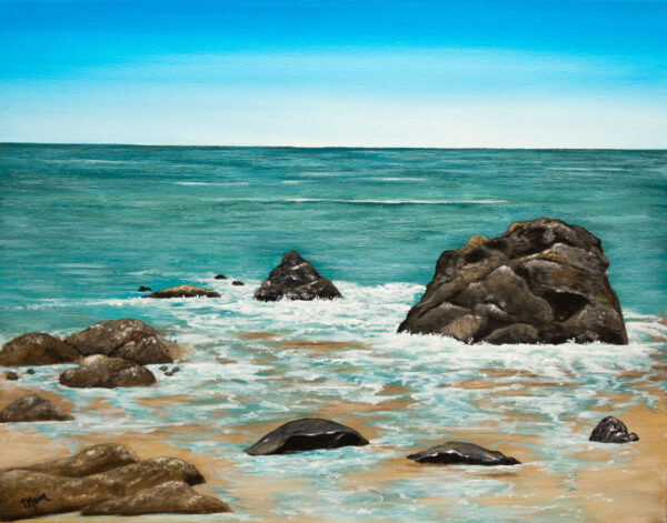 The Hawk Beach, Cape Sable Island Print