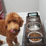 3 bowl dog bowl stand - raised dog bowl stand- Tall Dog bowl stand with stylish backsplash-Tall dog bowl stand