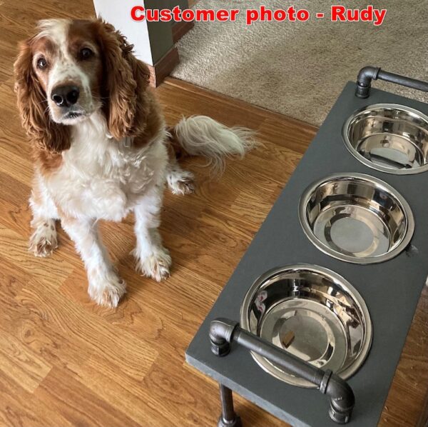 3 bowl dog bowl stand - raised dog bowl stand- Tall Dog bowl stand with stylish backsplash-Tall dog bowl stand