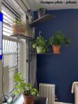 FREE SHIPPING Swivel Plant Rack - 1 to 4 shelfs Available - Swivel Display Rack & Plant Shelf