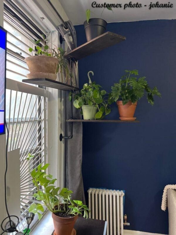 FREE SHIPPING Swivel Plant Rack - 1 to 4 shelfs Available - Swivel Display Rack & Plant Shelf