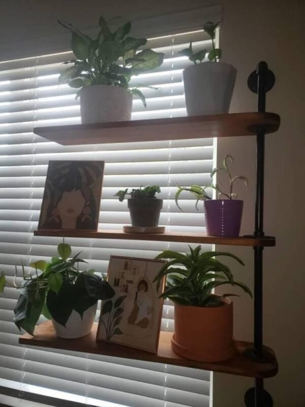 FREE SHIPPING Swivel Plant Rack - 1 to 4 shelfs Available - Swivel Display Rack & Plant Shelf