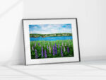 Lupines and Boats Print