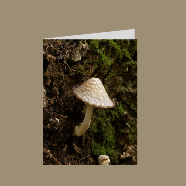 Inkcap mushroom in forest folded greeting card