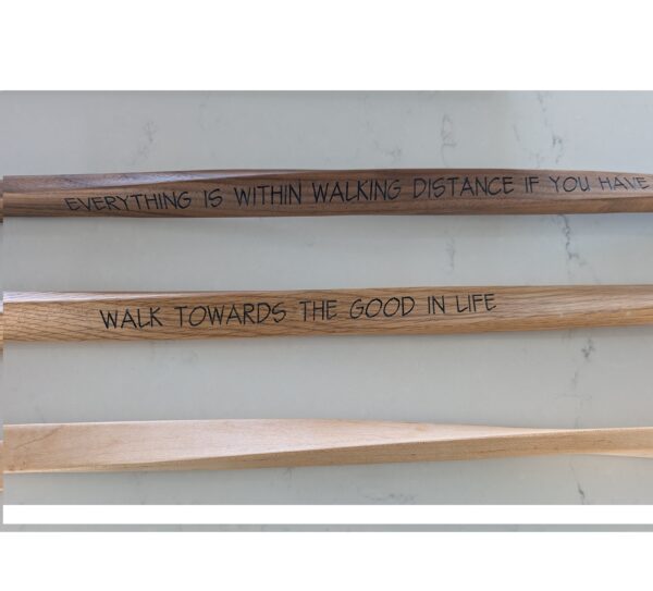 Walking-Hiking Stick