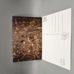 White Tailed Deer hiding in foliage postcard