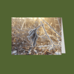 Frosty leaf icy winter folded greeting card