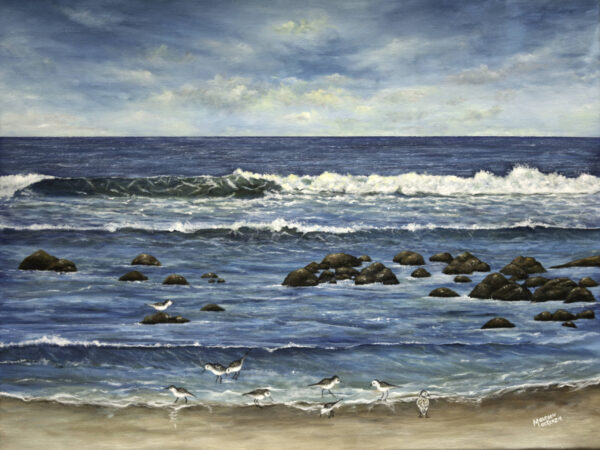 Stoney Island Beach, Cape Sable Island Print