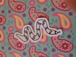 Snake Sticker