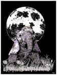 Baby Elephant, Hand drawn Original Wall Art