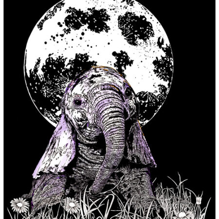 Baby Elephant, Hand drawn Original Wall Art