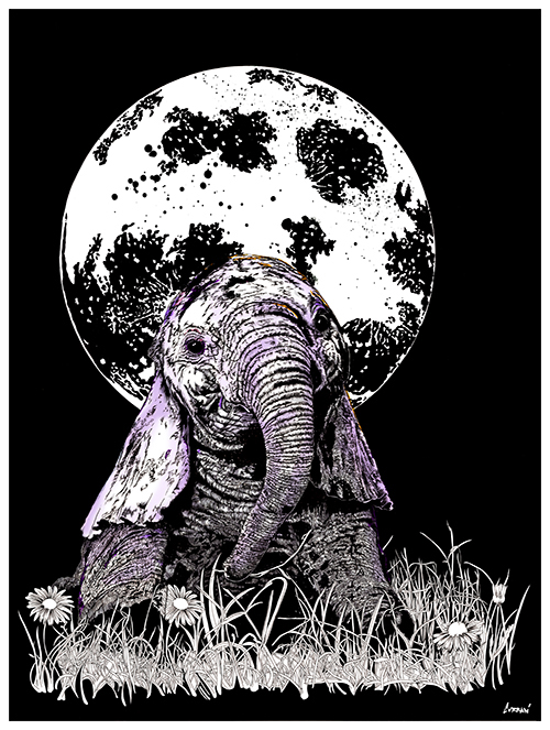 Baby Elephant, Hand drawn Original Wall Art