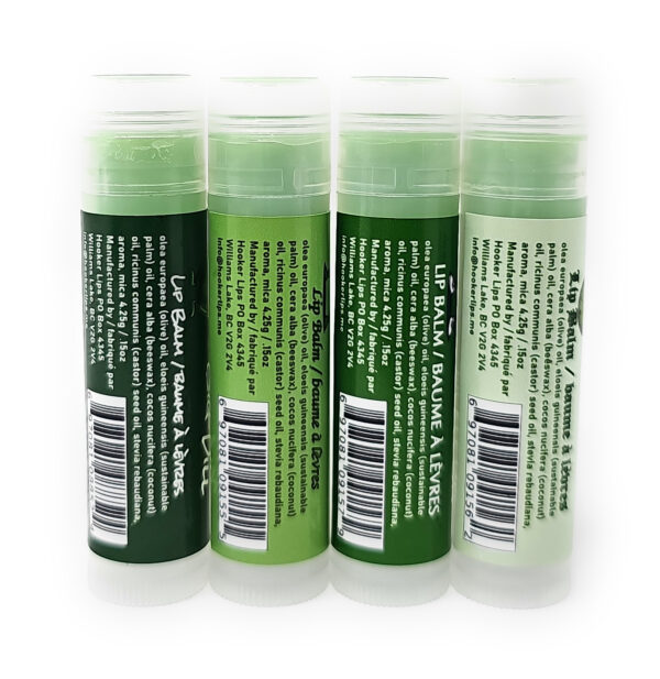 Dill Pickle Puns Version 1 Flavoured Lip Balm 4 Pack x3