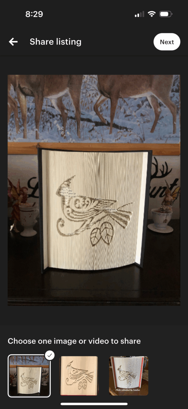 Cardinal Book Art Pattern - Digital Download
