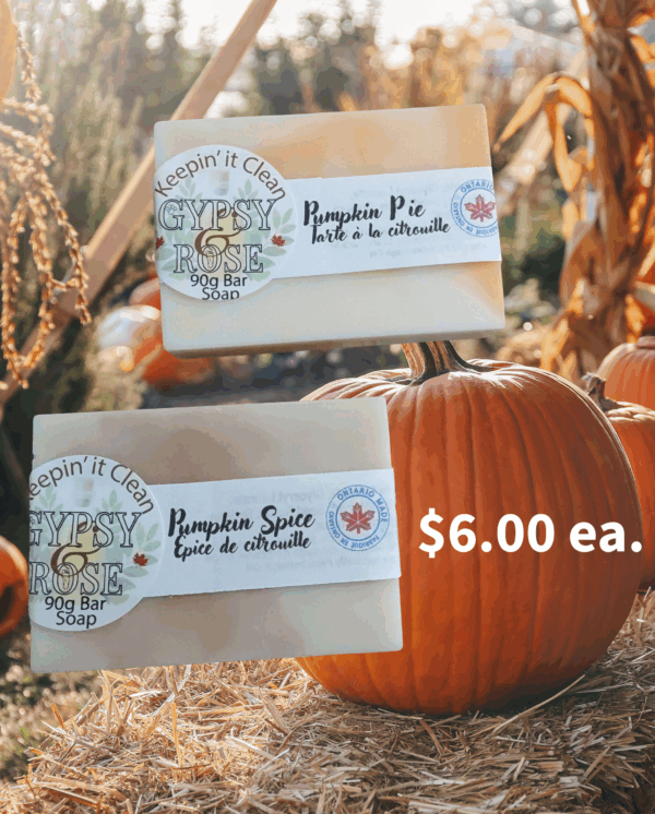 Scent-sational Pumpkin Spice Soap