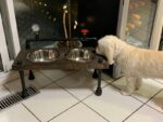 Steampunk Raised Dog Bowl Feeder: Industrial Style