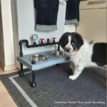 Steampunk Raised Dog Bowl Feeder: Knotty Pine, Industrial Style