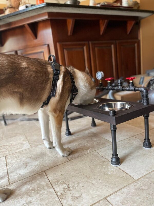 Steampunk Raised Dog Bowl Feeder: Knotty Pine, Industrial Style