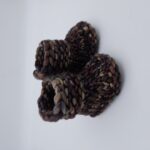 The Meraki Bootie
