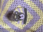 2 piece baby set