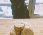My Best Friend's Shampoo Bar for dogs and cats