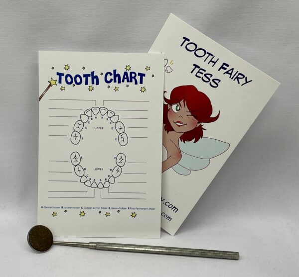 Unicorn Tooth Fairy Pillow by Tooth Fairy Tess - Personalized